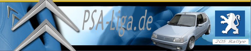 Banner www.PSA-Liga.de