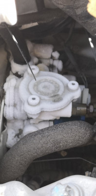 IMG-20200922-WA0000.jpeg (767.89 KiB) 1981 mal betrachtet IMG-20200922-WA0000.jpeg