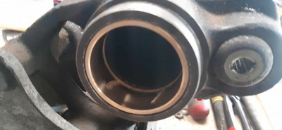 365579179_1338132627109758_4430747442978847780_n.jpg (83.11 KiB) 10375 mal betrachtet 365579179_1338132627109758_4430747442978847780_n.jpg