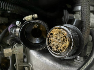 IMG_1044.jpg (159.93 KiB) 6289 mal betrachtet IMG_1044.jpg