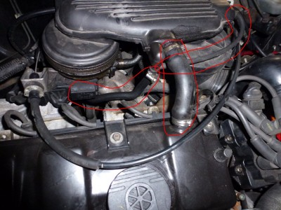 P1000195b.jpg