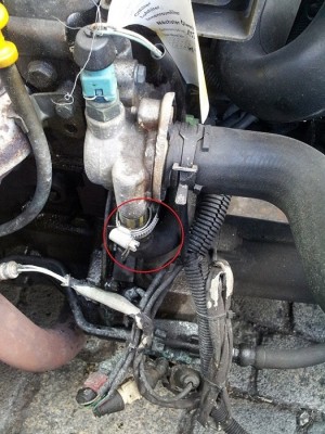 20120416_155335.jpg