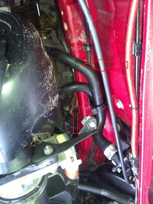 WP_000124.jpg (229.12 KiB) 2940 mal betrachtet WP_000124.jpg