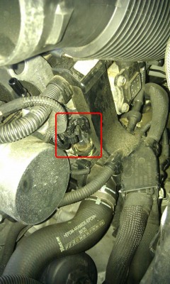 IMAG1293.jpg (224.21 KiB) 11121 mal betrachtet IMAG1293.jpg