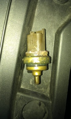 IMAG1294.jpg (233.2 KiB) 10765 mal betrachtet IMAG1294.jpg