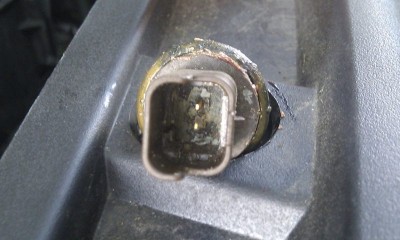 IMAG1305.jpg (64.96 KiB) 11124 mal betrachtet IMAG1305.jpg