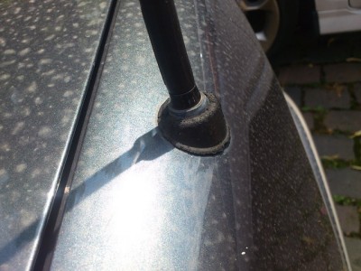 ant.jpg (103.89 KiB) 3528 mal betrachtet ant.jpg