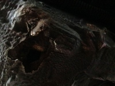 2014-08-17-12.52.05-(3).jpg (137.13 KiB) 4126 mal betrachtet 2014-08-17-12.52.05-(3).jpg