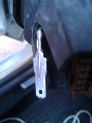 2015-04-25 12.06.49.jpg