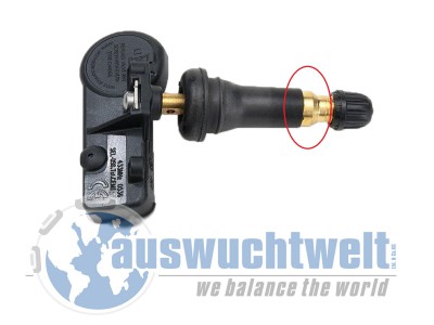 8363.jpg (195.57 KiB) 5319 mal betrachtet 8363.jpg