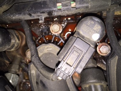 IMG_1746.JPG (133.77 KiB) 606 mal betrachtet IMG_1746.JPG