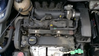 pgt.JPG (244.13 KiB) 2557 mal betrachtet pgt.JPG