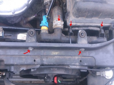 DSC_3491 - Kopie.JPG (110.5 KiB) 16475 mal betrachtet DSC_3491 - Kopie.JPG