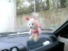 Userbild
