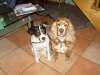 Userbild