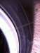 Userbild